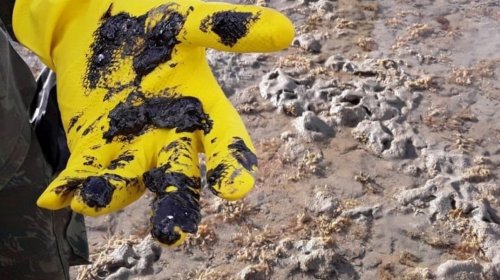 [Estado ainda possui 193 localidades com manchas de óleo]
