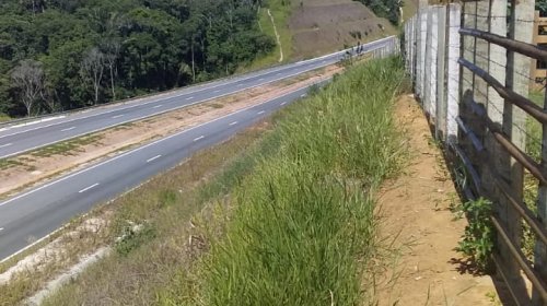 [Os sinais do descaso da Prefeitura de Lauro de Freitas aos quilombolas de Quingoma]