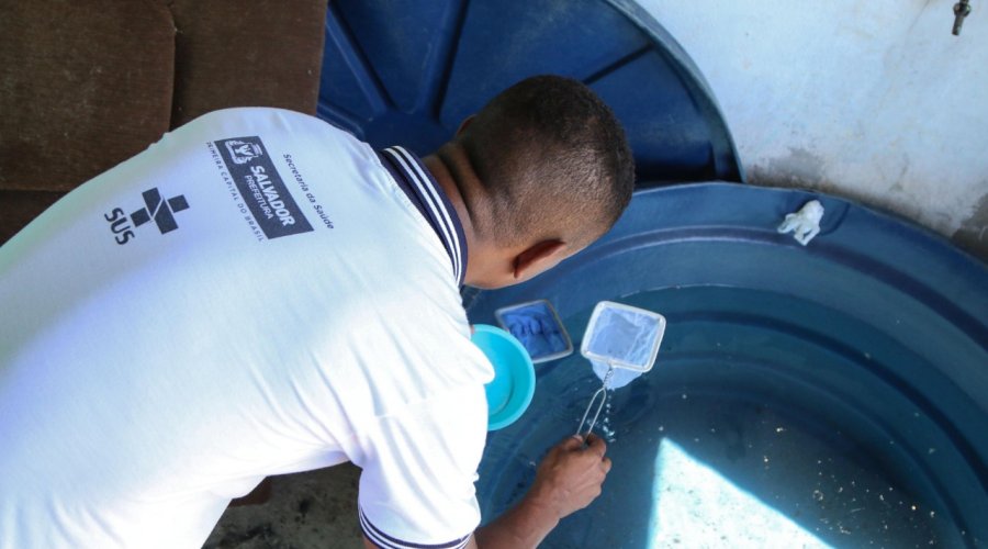 [Salvador intensifica combate ao Aedes aegypti para Carnaval]