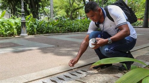 [Circuitos carnavalescos recebem ações de combate ao Aedes aegypti]