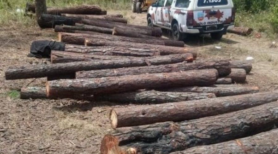 [Congresso pode liberar fazendas para desmatar até 50% de terras na Amazônia]