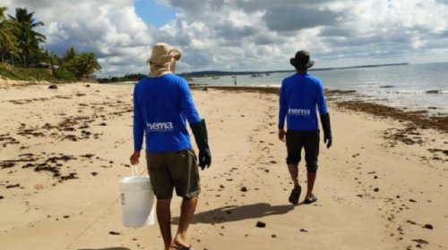 [Ação conjunta retira resquícios de manchas de óleo do litoral baiano]