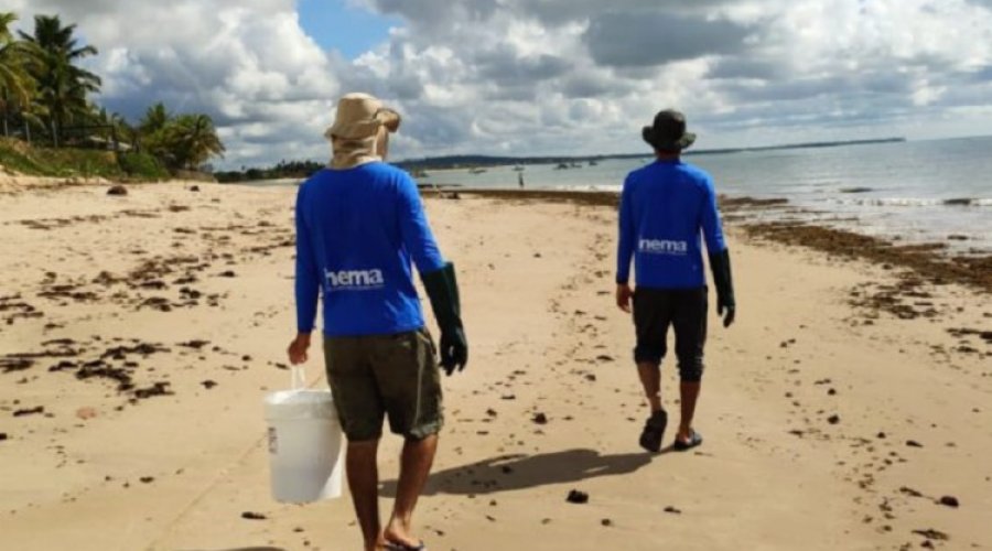 [Ação conjunta retira resquícios de manchas de óleo do litoral baiano]
