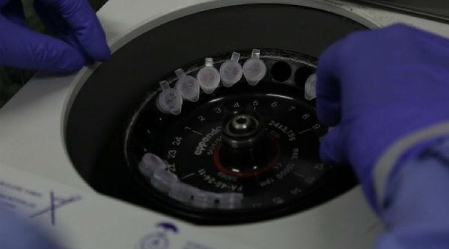 [Ministério da Saúde ampliará para 22,9 milhões total de testes para novo coronavírus]