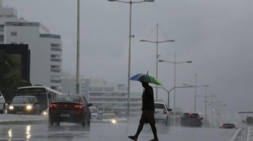 [Codesal registra 73 ocorrências na manhã desta segunda em Salvador]