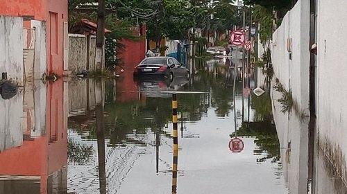 [Codesal registra 88 solicitações nesta quinta-feira]