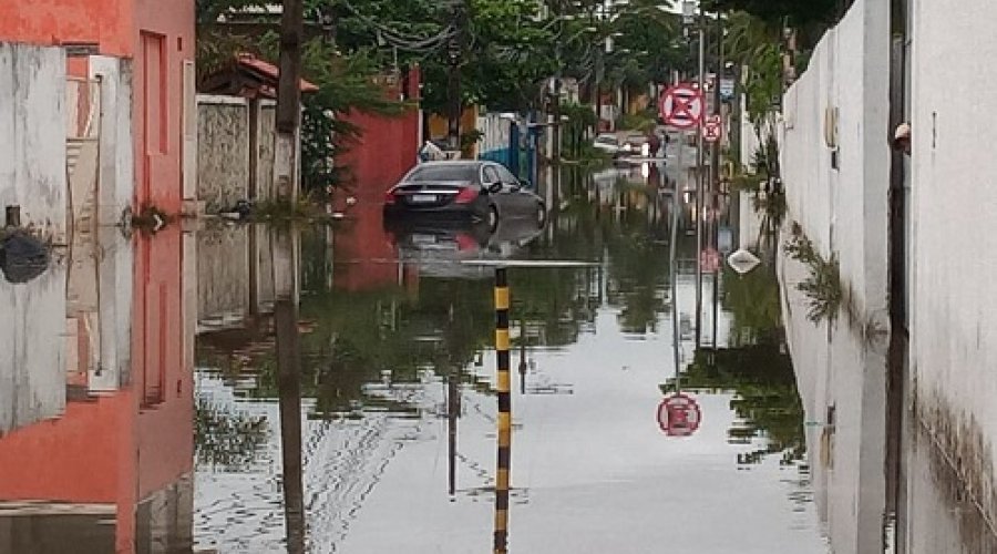 [Codesal registra 88 solicitações nesta quinta-feira]
