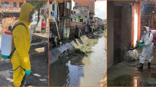 [Movimento Solidário: Mutirão de limpeza e dedetização realizado em diversas ruas de Pernambués]