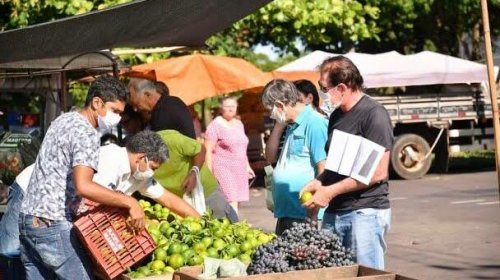 [Campanha do governo quer incentivar feiras e mercados populares a se adequar aos novos tempos]