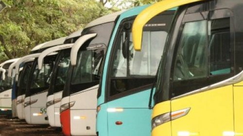 [Governo suspende transporte em mais sete cidades baianas; total chega a 348]
