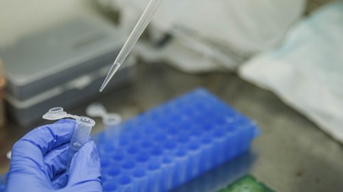 [Bahia é escolhida para sediar desenvolvimento de vacina contra coronavírus]