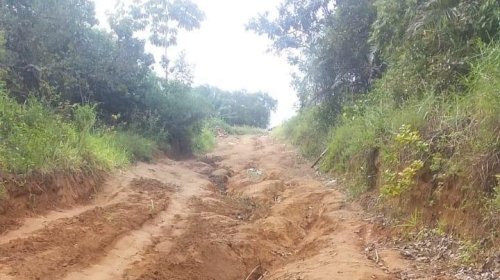 [Moradores do Quilombo Quingoma pedem reforma de estrada na Associação ]