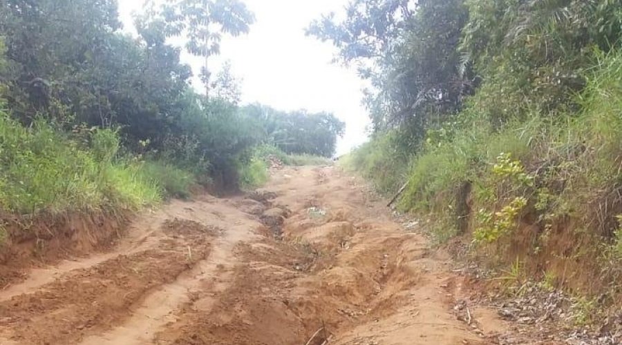 [Moradores do Quilombo Quingoma pedem reforma de estrada na Associação ]