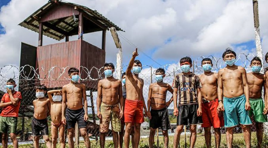 [STF obriga governo a proteger índios contra o novo coronavírus]