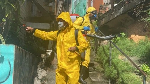 [Ação do Movimento Solidário higieniza as ruas de Pernambués para combater o coronavírus ]