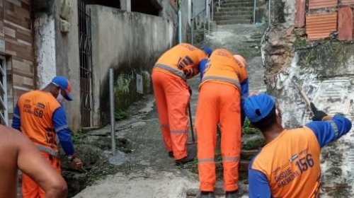 [Limpurb realiza mutirão de limpeza e roçagem em Pernambués ]