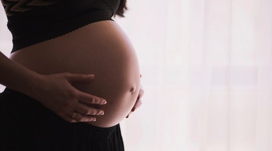 [Câmara aprova afastamento de gestantes do trabalho presencial durante a pandemia]