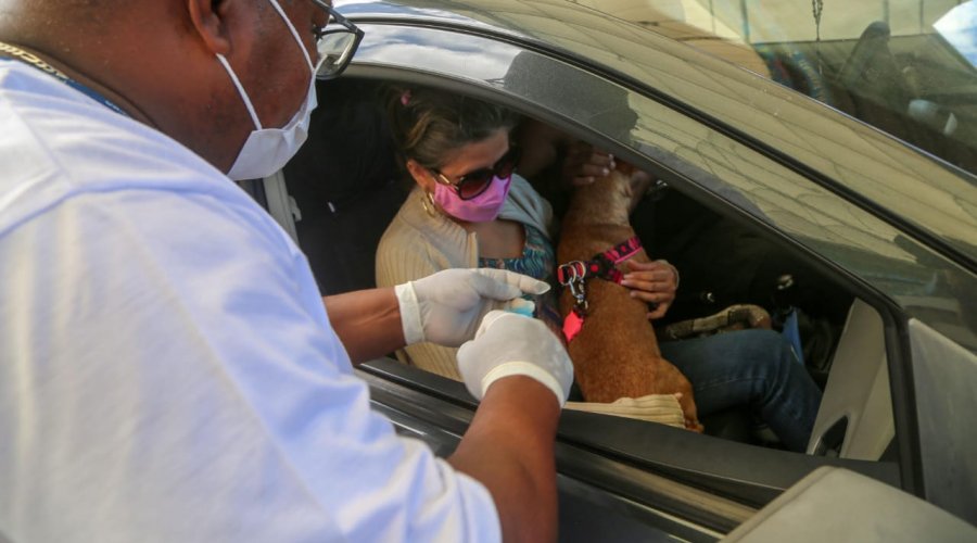 [Última semana do drive thru da vacinação antirrábica em Salvador]