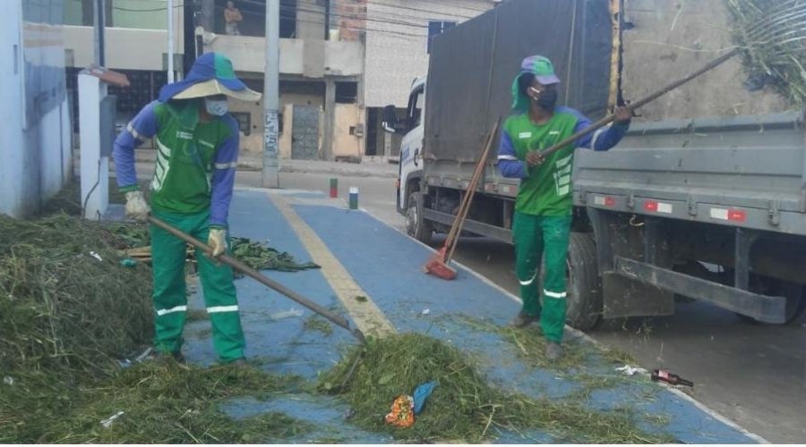 [Mutirão de limpeza: Trabalhadores de limpeza urbana realizam servicos especiais em rua de Nova Constituinte ]