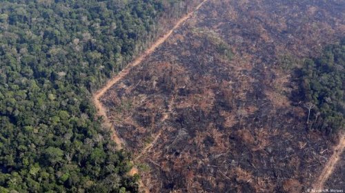 [TCU vai investigar gastos de Salles contra desmatamento e mudanças climáticas em 2020]