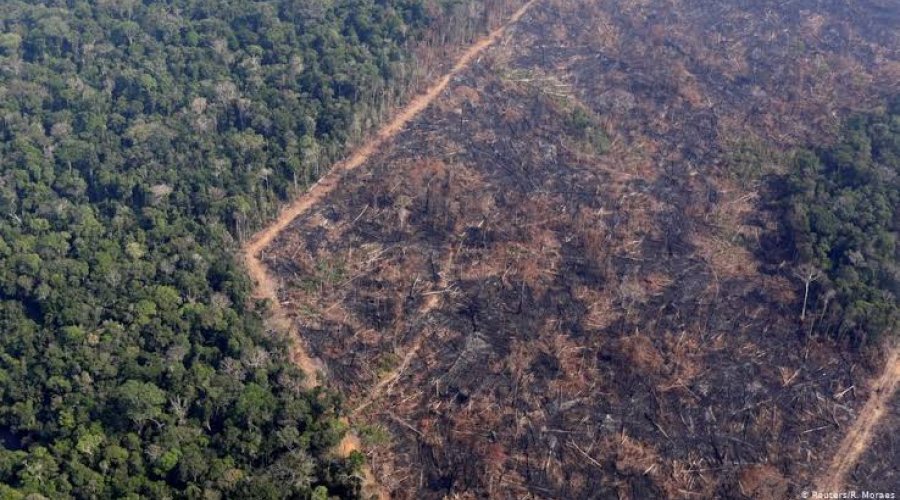 [TCU vai investigar gastos de Salles contra desmatamento e mudanças climáticas em 2020]