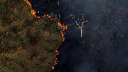 [Amazônia acumula até setembro maior nº de queimadas em 10 anos]