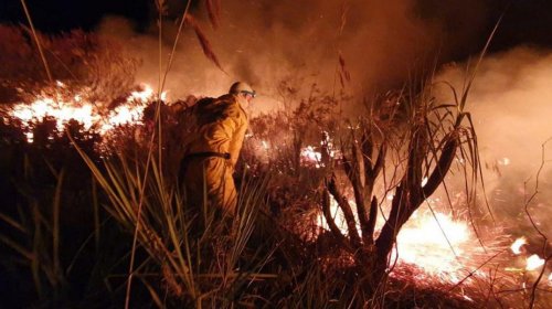 [Incêndio na Chapada Diamantina se concentra em área de preservação]