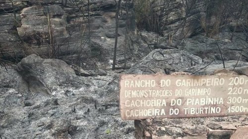 [Fogo na Chapada Diamantina destrói parcialmente Projeto Sempre-Viva]