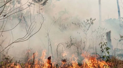 [Queimadas no Amazonas em 2020 atingem recorde histórico]