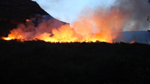 [Em 15 dias, Bahia já registra mais focos de incêndio que em outubro de 2019]