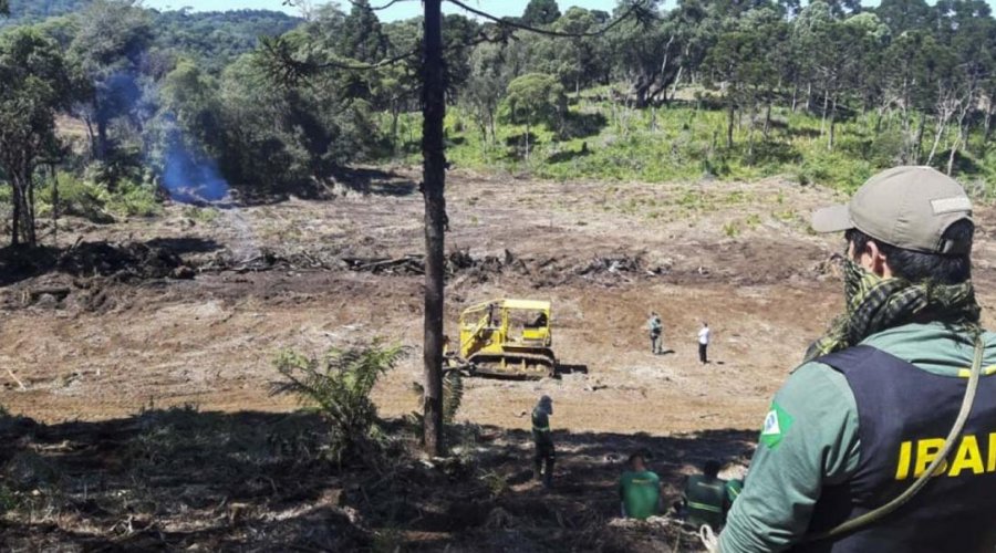 [Ibama determina que brigadas de combate a incêndio retornem às atividades]