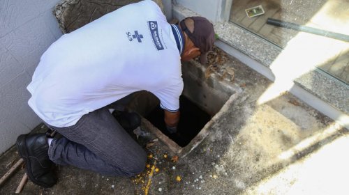 [Combate ao Aedes é intensificado nos locais de votação  ]