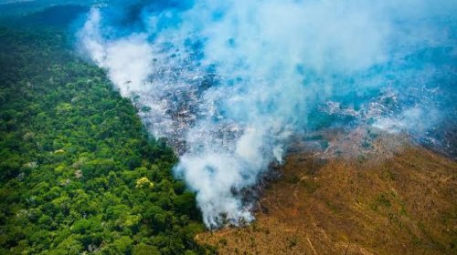 [Número de alertas de desmatamento na Amazônia é 2º pior em 5 anos, aponta Inpe]