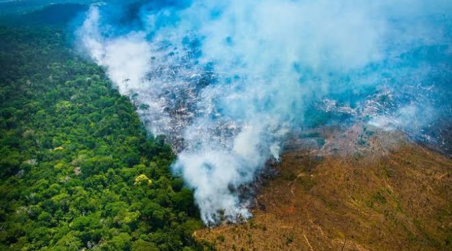 [Número de alertas de desmatamento na Amazônia é 2º pior em 5 anos, aponta Inpe]