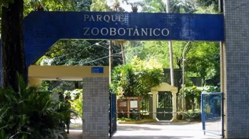 [Ambulantes protestam por reabertura de Zoológico em Salvador]