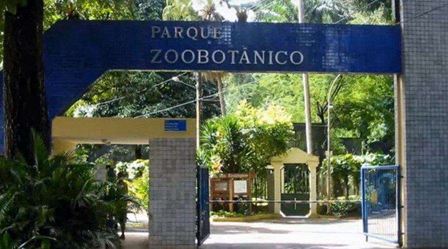 [Ambulantes protestam por reabertura de Zoológico em Salvador]