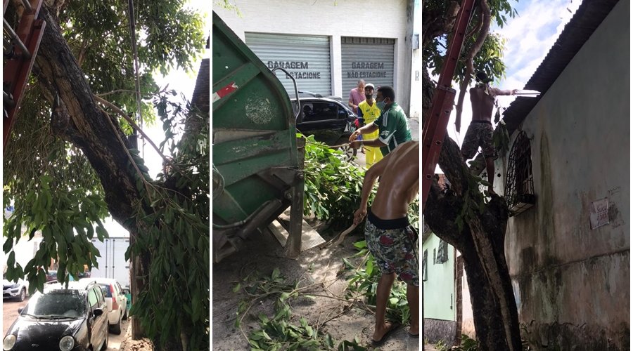 [Árvore ameaça cair em residência e preocupa moradores]