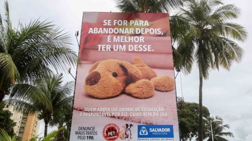 [Campanha mobiliza população contra abandono de animais]