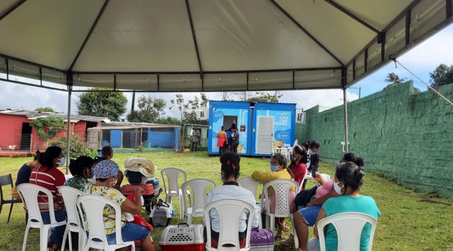 [Entre janeiro e agosto deste ano, já foram beneficiados mais de 6 mil animais com cirurgias gratuitas através da rede municipal]