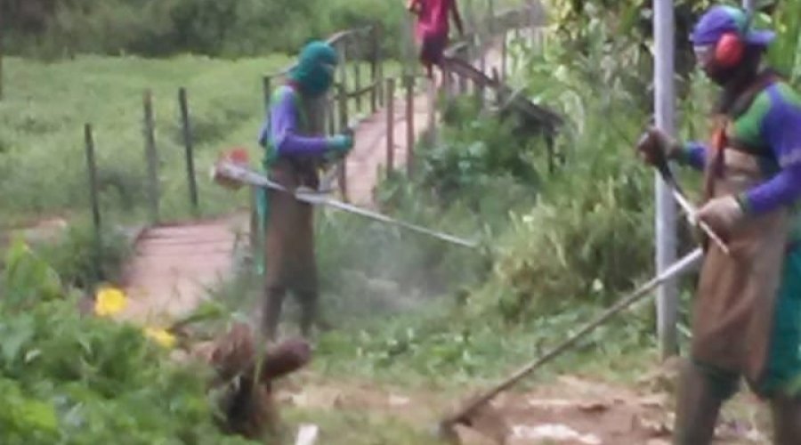 [Agentes de limpeza realizaram mutirão de roçagem e capina no bairro de Nova Constituinte]