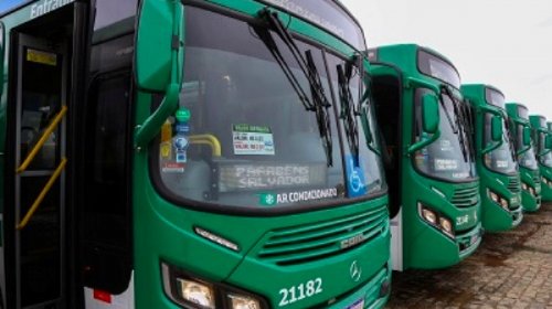 [Transporte no Doron será reforçado com nova linha circular a partir deste sábado]