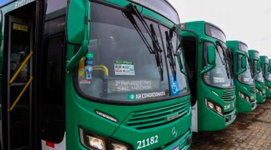 [Transporte no Doron será reforçado com nova linha circular a partir deste sábado]