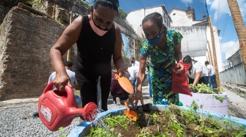 [Comunidade do Pilar ganha 60ª horta comunitária de Salvador]