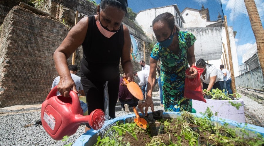 [Comunidade do Pilar ganha 60ª horta comunitária de Salvador]