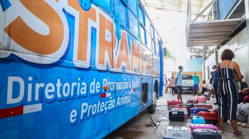 [Castramóvel oferece vacina antirrábica gratuita em Pau da Lima até esta sexta-feira]