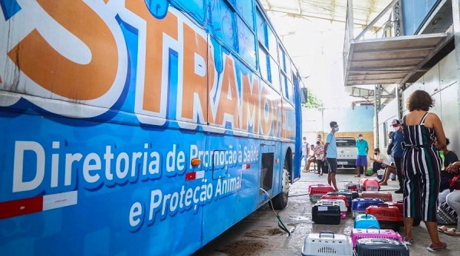 [Castramóvel oferece vacina antirrábica gratuita em Pau da Lima até esta sexta-feira]