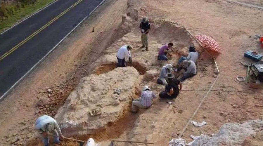 [Ninhada de ovos de dinossauro é descoberta no interior paulista]