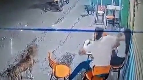 [Vídeo: Homem agride mulher em bar e é surrado por ela]