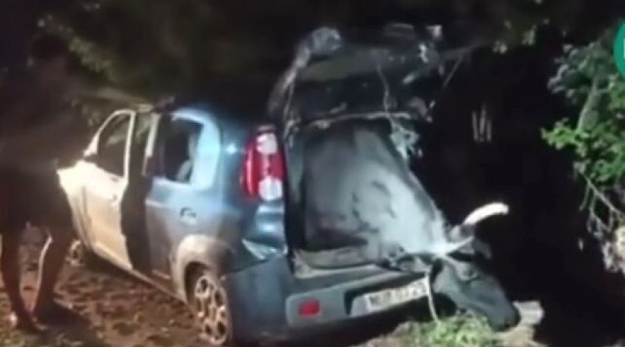 [Boi é encontrado pela polícia dentro do porta-malas de um Fiat Uno no Ceará; veja aqui]