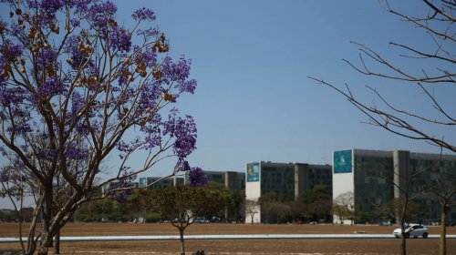 [Participação feminina em cargos no governo federal mostra estagnação]